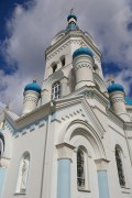 Елгава. Симеона и Анны, собор