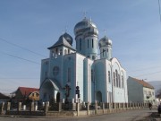 Кафедральный собор Троицы Живоначальной, , Виноградов, Береговский район, Украина, Закарпатская область