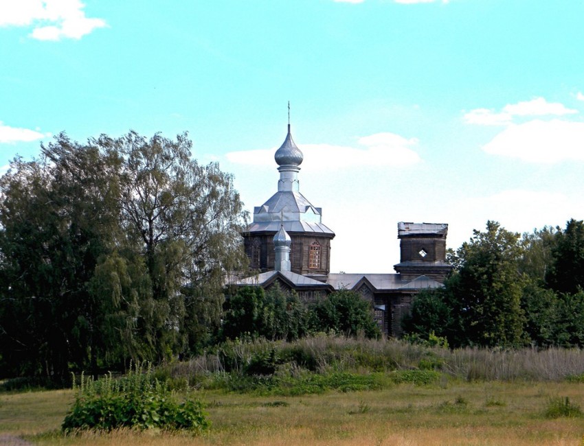 Косиново. Церковь Космы и Дамиана. общий вид в ландшафте