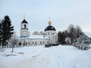 Церковь Воскресения Словущего на Николо-Железновском погосте - Шипулино - Клинский городской округ - Московская область