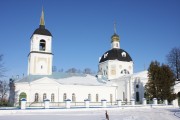 Церковь Воскресения Словущего на Николо-Железновском погосте, , Шипулино, Клинский городской округ, Московская область