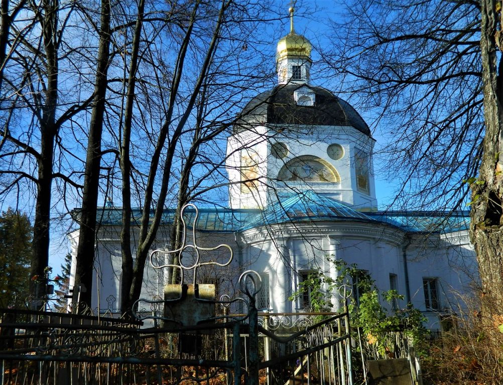 Церковь Воскресения Словущего на Николо-Железновском погосте, Шипулино (Клинский городской округ, Московская область). фасады