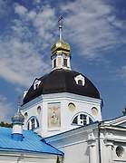 Церковь Воскресения Словущего на Николо-Железновском погосте - Шипулино - Клинский городской округ - Московская область