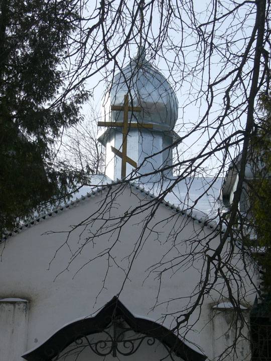 Церковь Алексия царевича, Высоковск (Клинский городской округ, Московская область). архитектурные детали