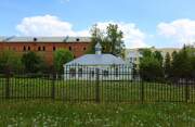 Высоковск. Алексия царевича, церковь