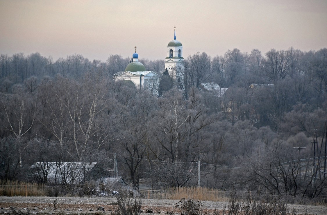 Церковь Смоленской иконы Божией Матери, Воронино (Клинский городской округ, Московская область). общий вид в ландшафте