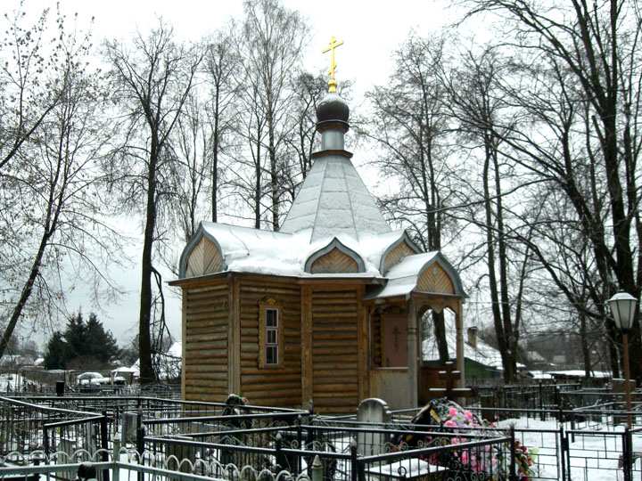 Часовня Илии Пророка, Спас-Заулок (Клинский городской округ, Московская область). общий вид в ландшафте
