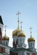 Пойковский. Троицы Живоначальной, церковь