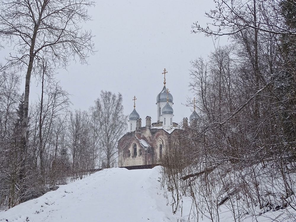 Воронцовский Благовещенский монастырь. Собор Благовещения Пресвятой Богородицы, Воронцово (Торопецкий район, Тверская область). общий вид в ландшафте
