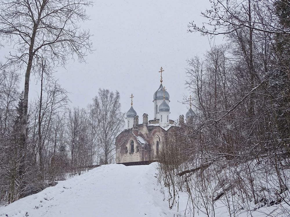 Воронцово. Воронцовский Благовещенский монастырь. Собор Благовещения Пресвятой Богородицы. общий вид в ландшафте