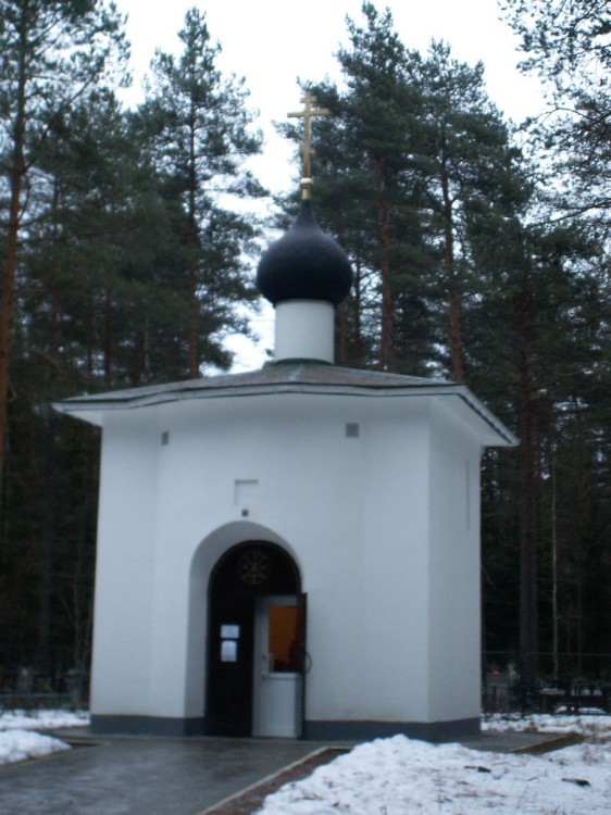 Часовня Рождества Христова, Зеленогорск (Санкт-Петербург, Курортный район, г. Санкт-Петербург). общий вид в ландшафте