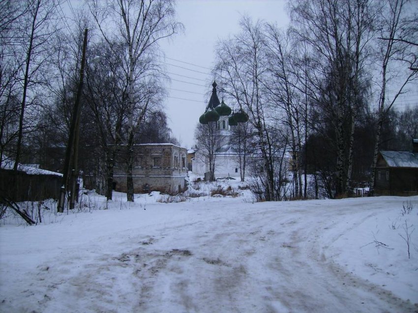 Горний Успенский женский монастырь, Вологда (Вологда, город, Вологодская область). общий вид в ландшафте, Вид  с  улицы
