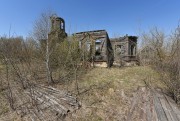 Церковь Покрова Пресвятой Богородицы - Альдия - Моршанский район и г. Моршанск - Тамбовская область