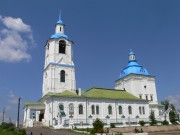 Церковь Троицы Живоначальной, 2006<br>, Быстрица, Оричевский район, Кировская область