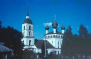 Церковь Троицы Живоначальной, , Новое, Некрасовский район, Ярославская область