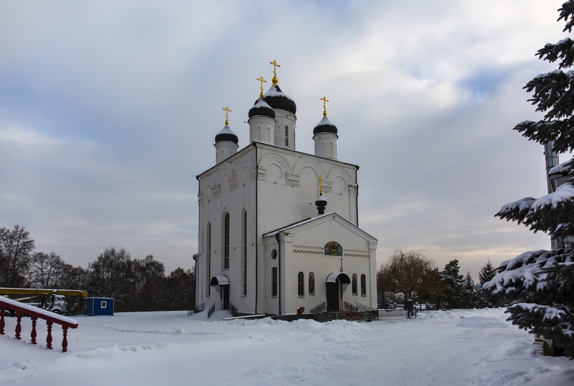 Орёл. Успенский мужской монастырь. Собор Казанской иконы Божией Матери. общий вид в ландшафте