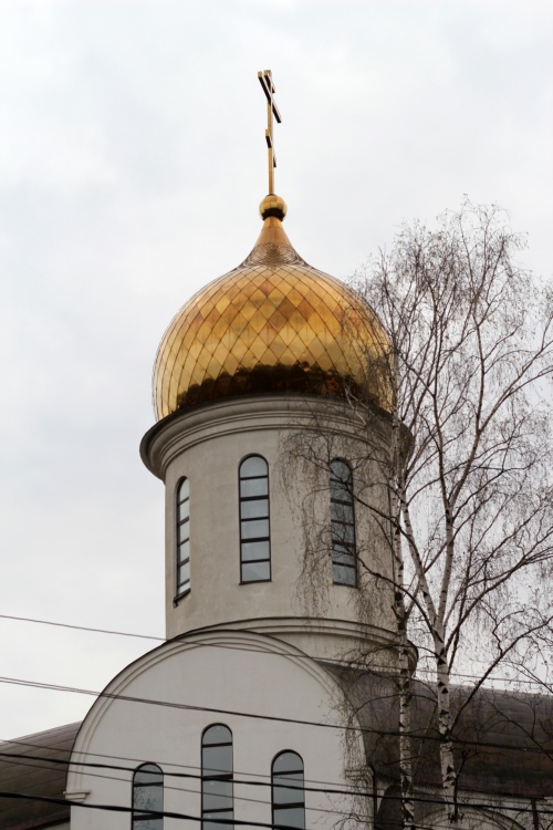 Церковь Рождества Христова, Немчиновка (Одинцовский городской округ и ЗАТО Власиха, Краснознаменск, Московская область). архитектурные детали