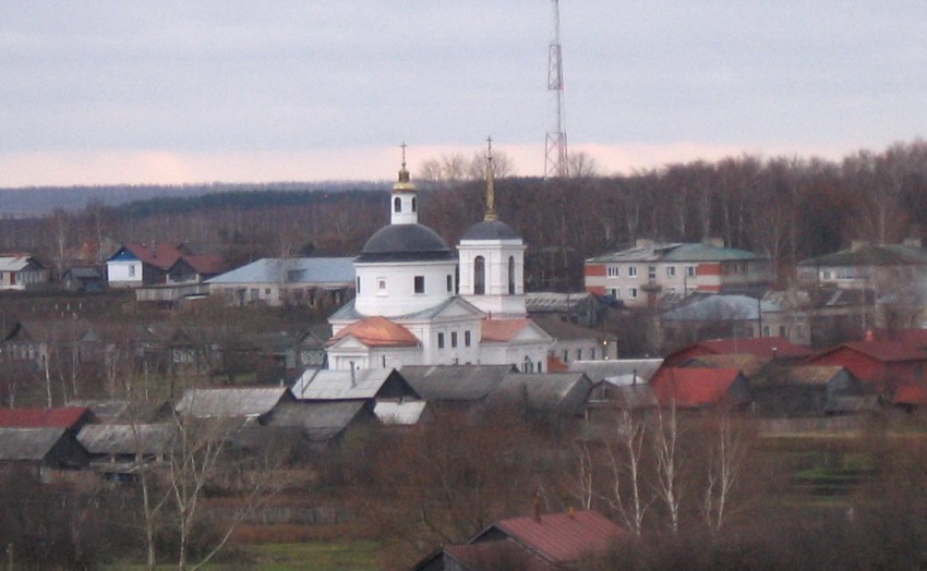 Церковь Вознесения Господня, Ореховец (Дивеевский район, Нижегородская область). общий вид в ландшафте