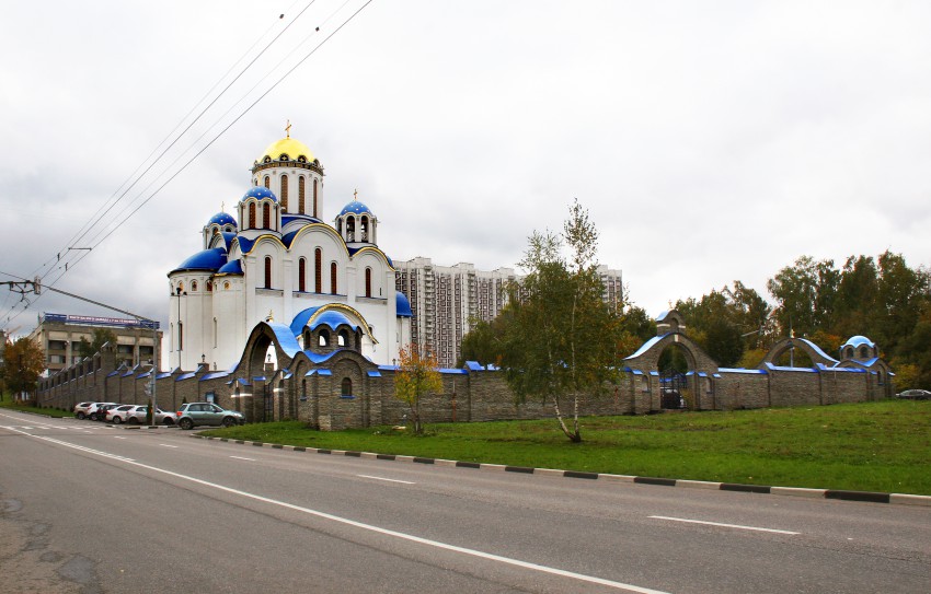 Ясенево. Церковь Покрова Пресвятой Богородицы. общий вид в ландшафте