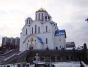 Церковь Покрова Пресвятой Богородицы - Ясенево - Юго-Западный административный округ (ЮЗАО) - г. Москва