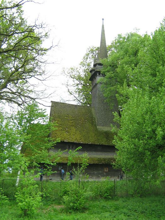 Церковь Михаила Архангела, Крайниково (Хустский район, Украина, Закарпатская область). общий вид в ландшафте