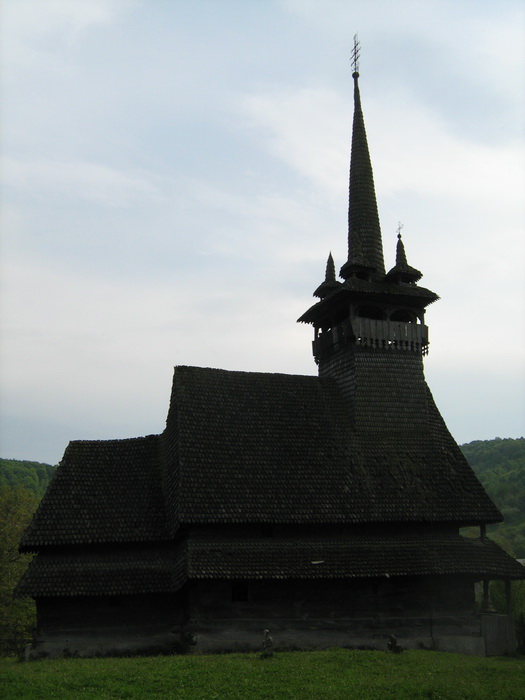 Церковь Параскевы Пятницы, Александровка (Хустский район, Украина, Закарпатская область). общий вид в ландшафте