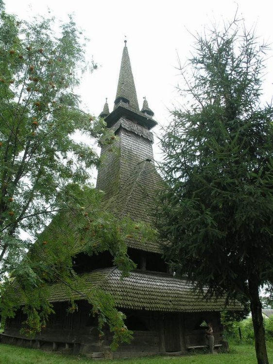 Сокырница. Церковь Николая Чудотворца. общий вид в ландшафте