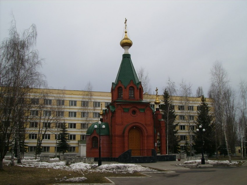 Церковь Митрофана Воронежского при Институте МВД, Воронеж (Воронеж, город, Воронежская область). общий вид в ландшафте