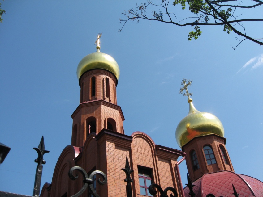 Церковь Димитрия Донского, Дзержинский (Люберецкий городской округ, гг. Лыткарино, Котельники, Московская область). архитектурные детали