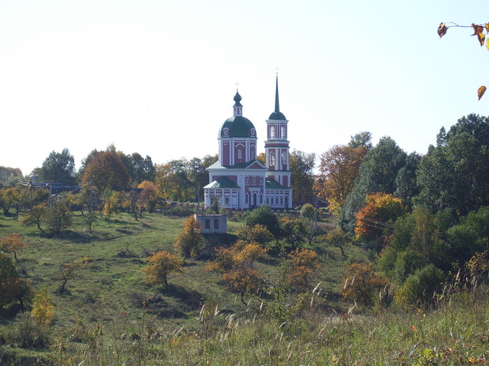 Церковь Успения Пресвятой Богородицы (новая), Овстуг (Жуковский район, Брянская область). общий вид в ландшафте