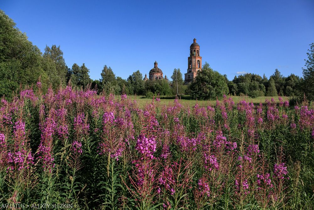 Церковь Воздвижения Креста Господня, Пустополье (Уржумский район, Кировская область). общий вид в ландшафте