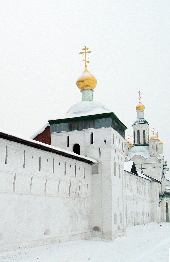 Троицкий Макариев Желтоводский монастырь. Церковь Григория Пельшемского, Макарьево (Лысковский район, Нижегородская область). общий вид в ландшафте