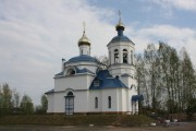 Церковь Михаила Архангела, , Новоселицы, Новгородский район, Новгородская область