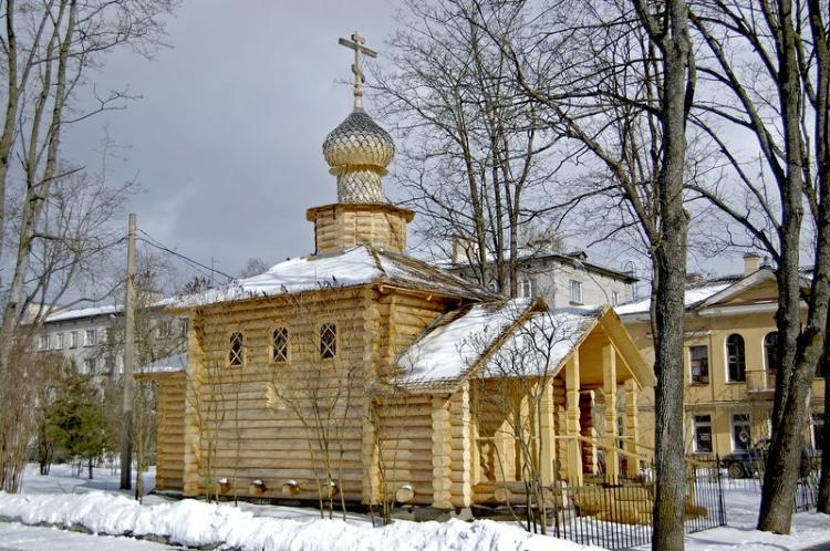 Павловск. Церковь Троицы Живоначальной. общий вид в ландшафте