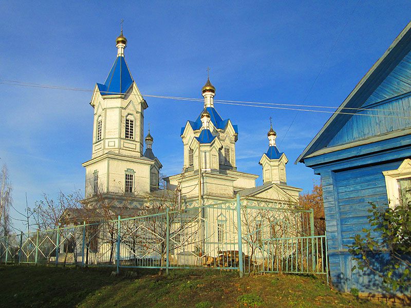 Церковь Преображения Господня, Баклань (Почепский район, Брянская область). общий вид в ландшафте
