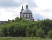 Церковь Троицы Живоначальной, Вид с востока<br>, Троица, Спасский район, Рязанская область