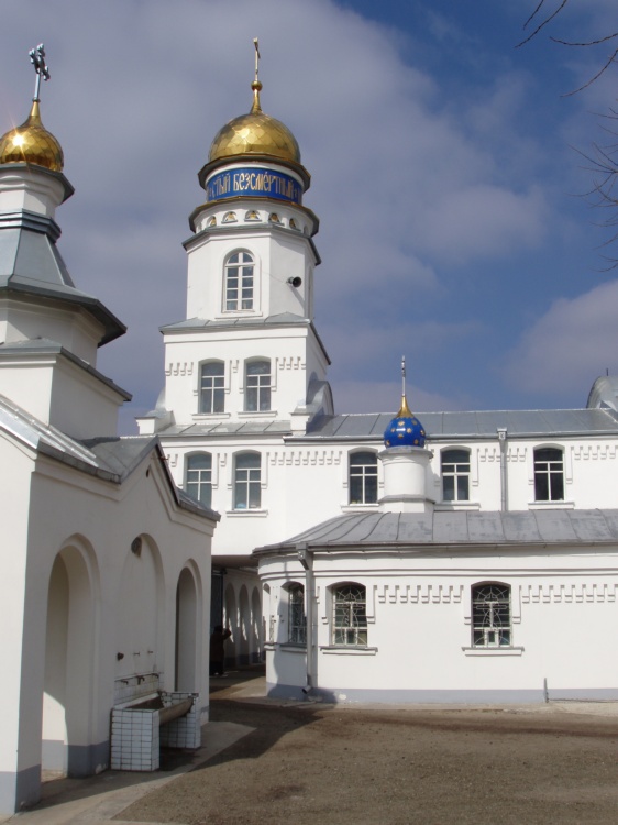 Мелитополь. Монастырь Саввы Освященного. архитектурные детали, Внутренний (южный) дворик