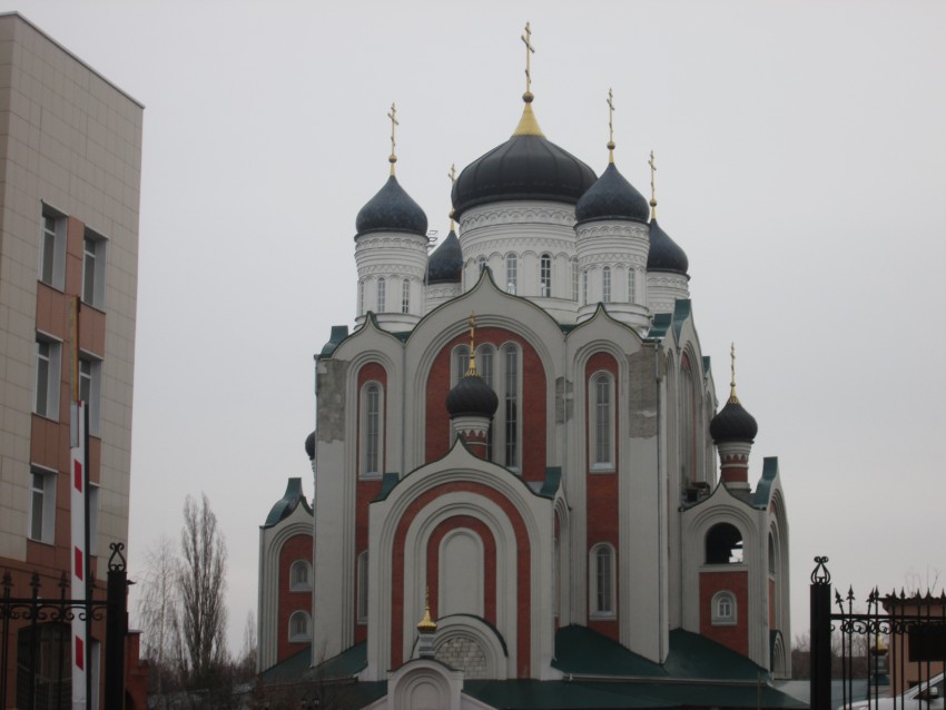 Церковь Всех Святых, в земле Российской просиявших, Воронеж (Воронеж, город, Воронежская область). фасады