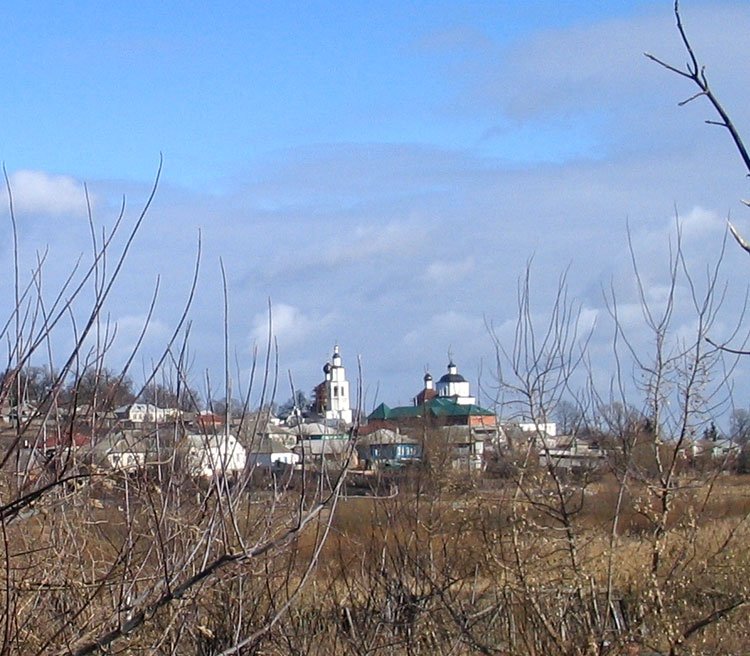Рыльский Николаевский мужской монастырь, Пригородная слободка (Рыльский район, Курская область). общий вид в ландшафте