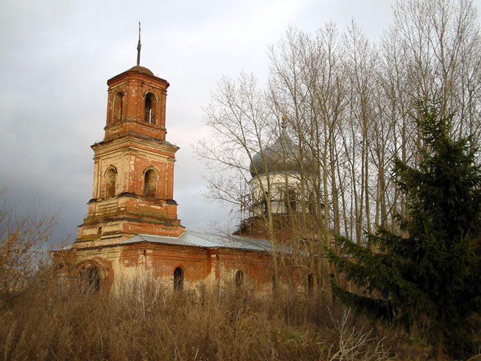 Церковь Троицы Живоначальной, Троицкое (Новохопёрский район, Воронежская область). общий вид в ландшафте