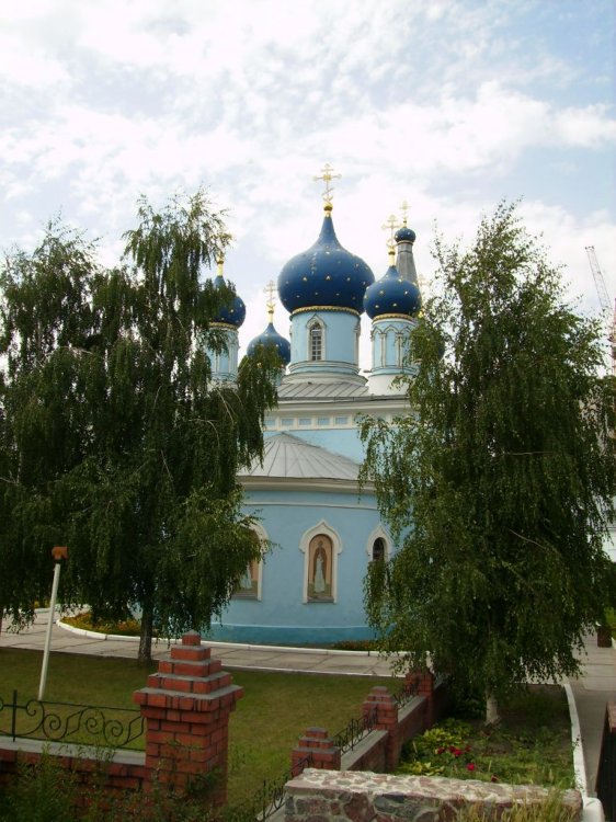 Церковь Успения Пресвятой Богородицы, Воронеж (Воронеж, город, Воронежская область). фасады