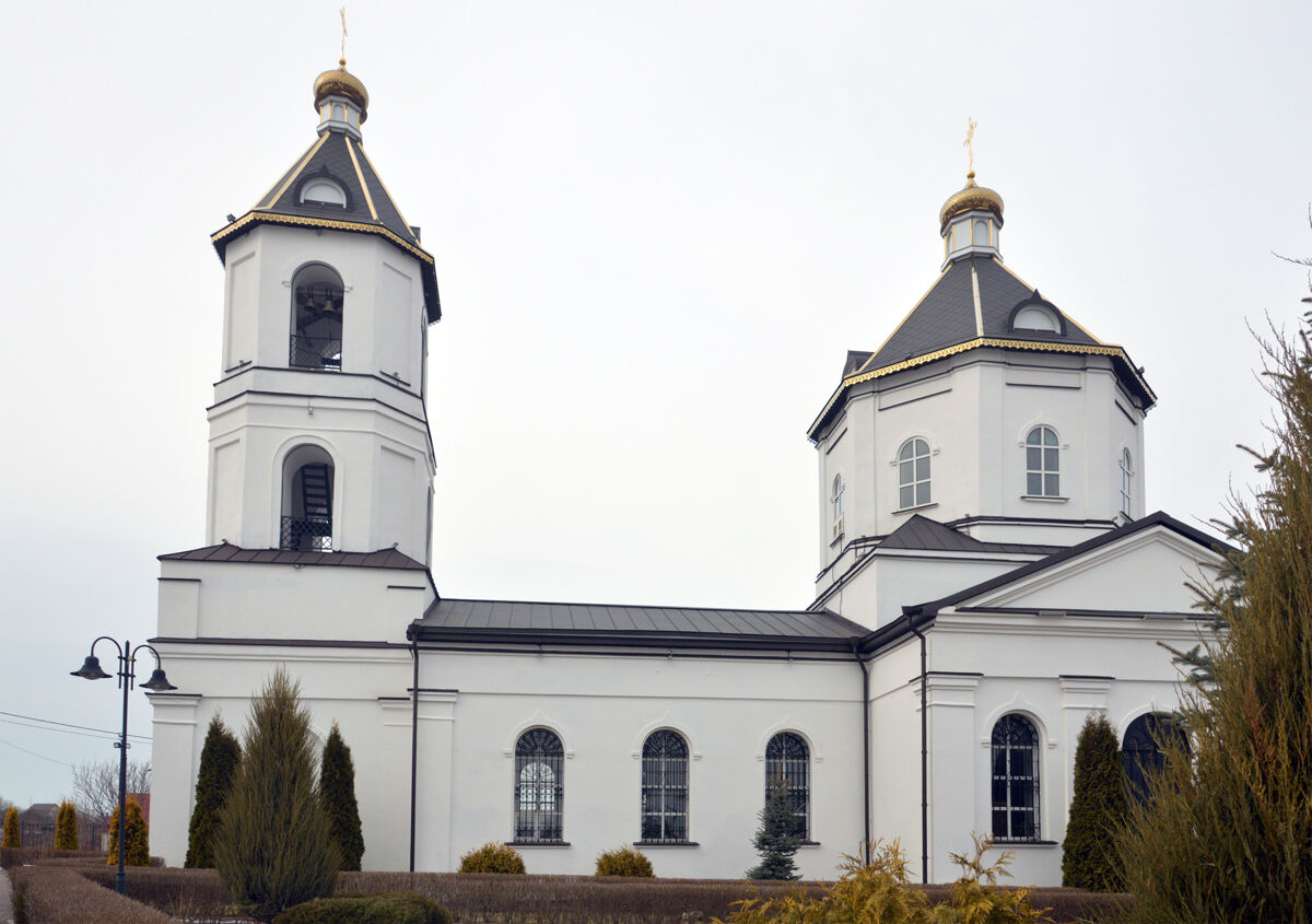 Сенное. Церковь Михаила Архангела. архитектурные детали