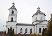 Церковь Михаила Архангела, , Сенное, Рамонский район, Воронежская область