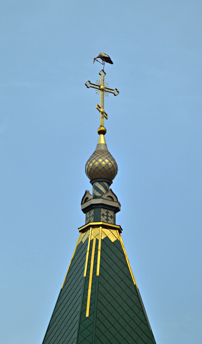 Церковь Параскевы Пятницы, Хвощеватка (Рамонский район, Воронежская область). архитектурные детали