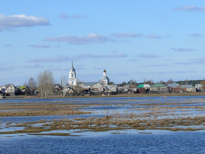 Церковь Троицы Живоначальной, Боровое (Воронеж, город, Воронежская область). общий вид в ландшафте
