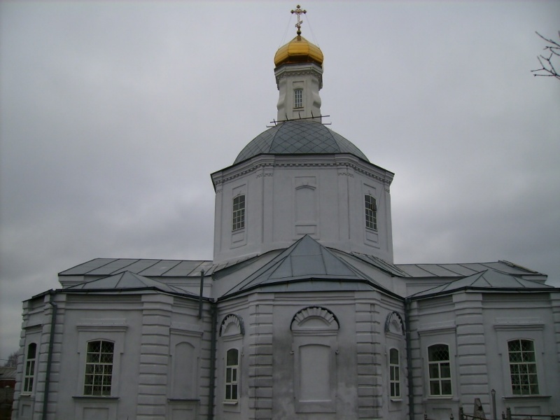 Церковь Троицы Живоначальной, Боровое (Воронеж, город, Воронежская область). фасады