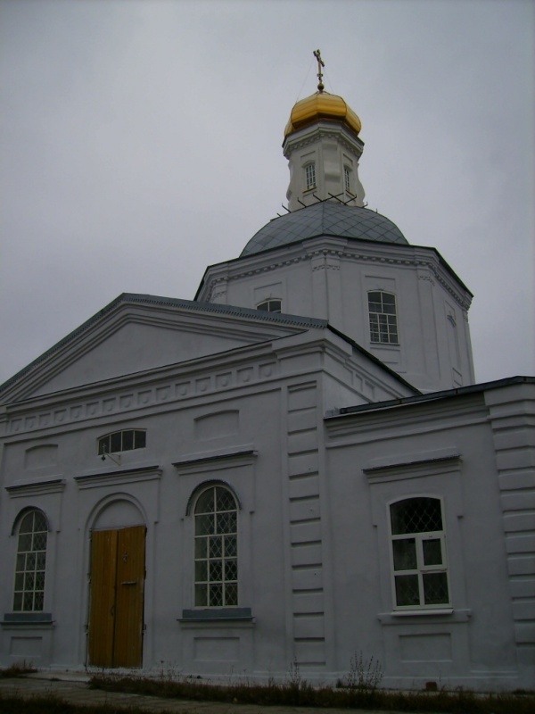 Церковь Троицы Живоначальной, Боровое (Воронеж, город, Воронежская область). архитектурные детали