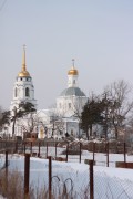 Церковь Троицы Живоначальной, , Боровое, Воронеж, город, Воронежская область