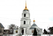 Церковь Троицы Живоначальной, , Боровое, Воронеж, город, Воронежская область