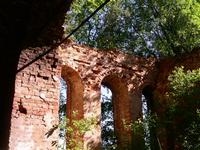 Церковь Преображения Господня, , Спасское (Спас-Оскуя), Маловишерский район, Новгородская область